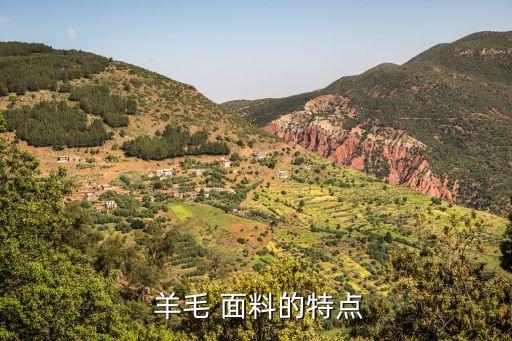 羊毛是什么面料,顆粒羊毛是什么面料