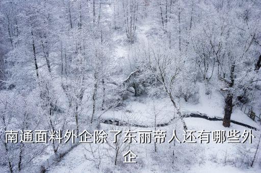 南通面料外企除了東麗帝人還有哪些外企
