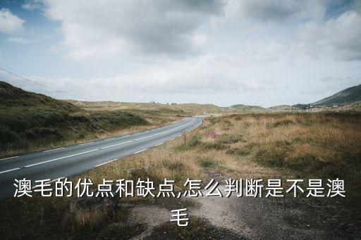 澳毛的優(yōu)點(diǎn)和缺點(diǎn),怎么判斷是不是澳毛