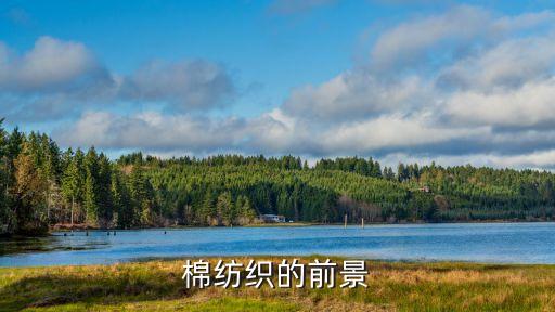 棉紡織的前景