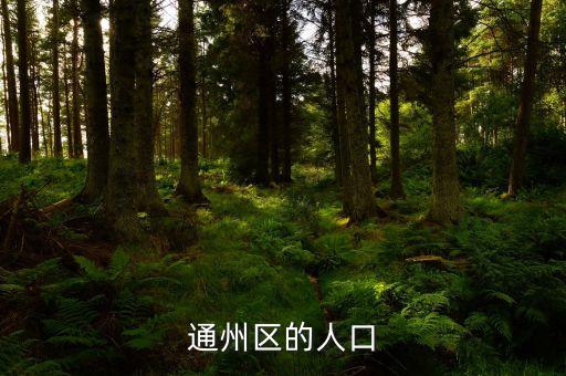 通州區(qū)的人口
