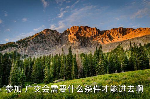 參加 廣交會需要什么條件才能進去啊