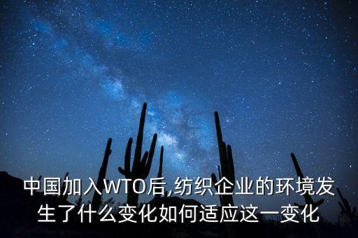 中國加入WTO后,紡織企業(yè)的環(huán)境發(fā)生了什么變化如何適應(yīng)這一變化