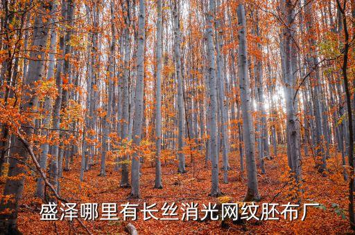  盛澤哪里有長絲消光網紋胚布廠