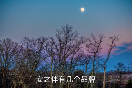 安之伴有幾個品牌