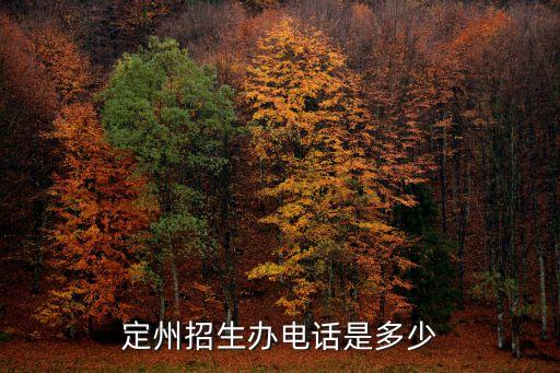定州招生辦電話是多少