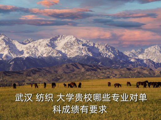 武漢紡織大學視覺傳達