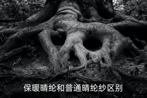 保暖晴綸和普通晴綸紗區(qū)別