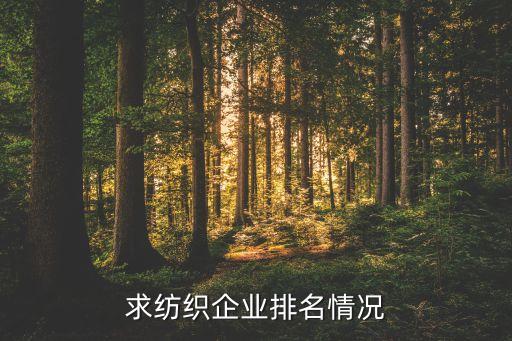 求紡織企業(yè)排名情況