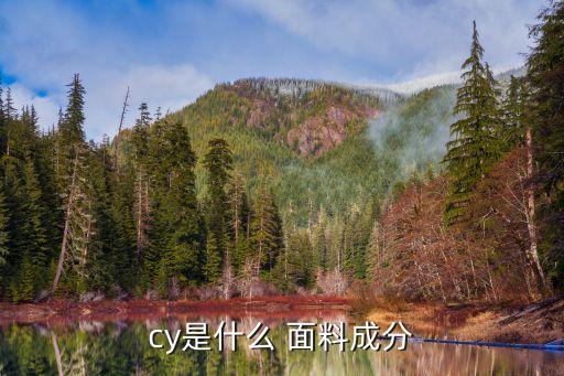 cy是什么 面料成分