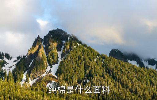  純棉是什么面料