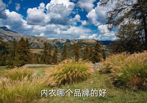 內(nèi)衣哪個品牌的好
