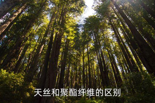 天絲棉是什么面料,100支天絲棉是什么面料