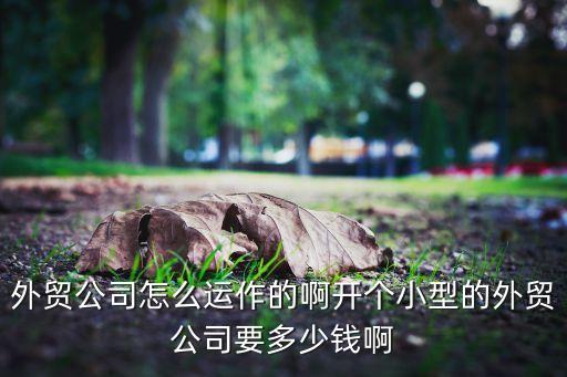 外貿(mào)公司怎么運作的啊開個小型的外貿(mào)公司要多少錢啊