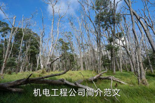 機(jī)電工程公司簡(jiǎn)介范文