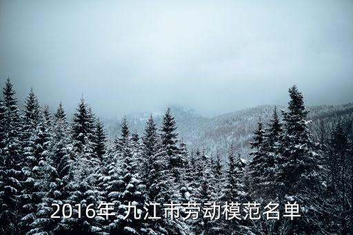 2016年 九江市勞動(dòng)模范名單