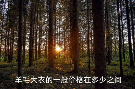  羊毛大衣的一般價格在多少之間