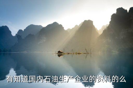 有知道國內(nèi)石油生產(chǎn)企業(yè)的資料的么