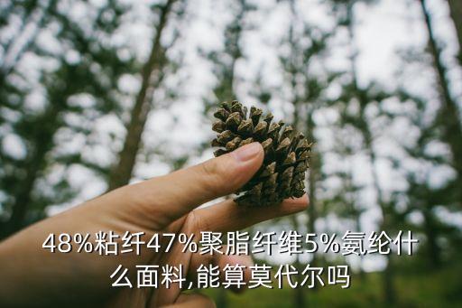 紡織中LenZing代表什么