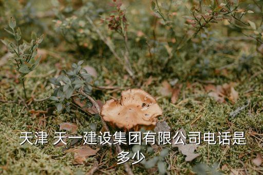  天津 天一建設(shè)集團(tuán)有限公司電話是多少