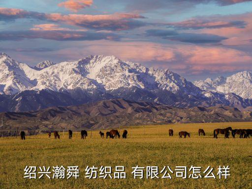  紹興瀚舜 紡織品 有限公司怎么樣