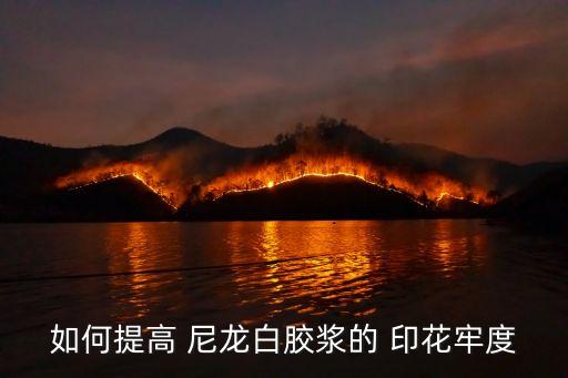 如何提高 尼龍白膠漿的 印花牢度