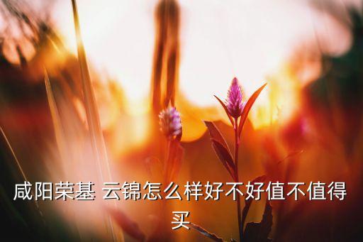 咸陽榮基 云錦怎么樣好不好值不值得買