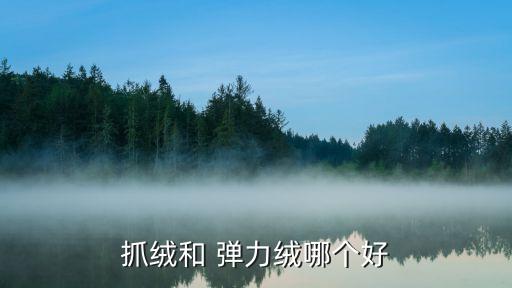 彈力絨是什么面料,珍珠彈力棉是什么面料