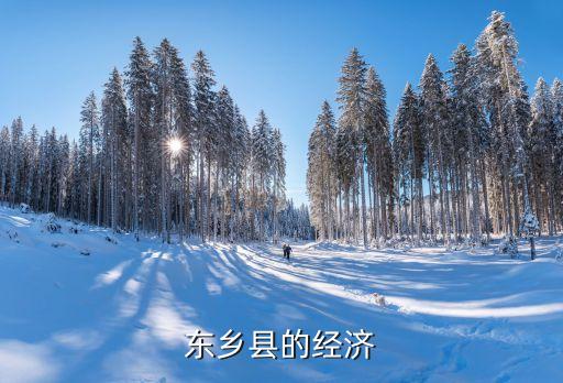東鄉(xiāng)縣的經(jīng)濟