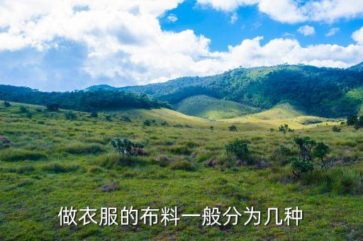 服裝面料創(chuàng)意得獎圖片