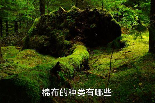 棉布的種類有哪些