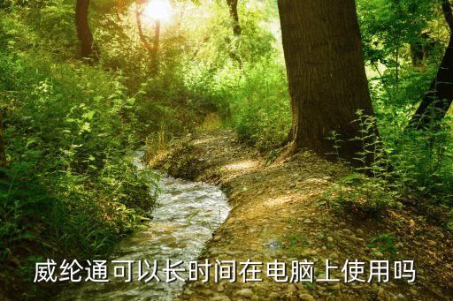 威綸通可以長時(shí)間在電腦上使用嗎