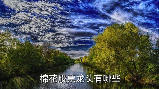 新野紡織棉花收購
