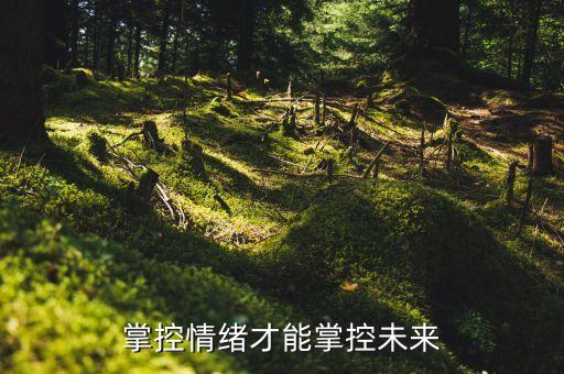 掌控情緒才能掌控未來(lái)