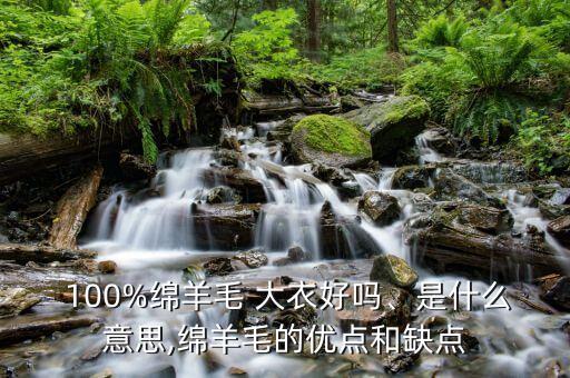 100%羊絨大衣面料,羊絨大衣面料分類有幾種