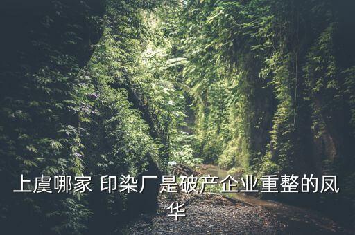 上虞哪家 印染廠是破產(chǎn)企業(yè)重整的鳳華