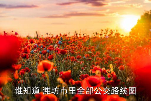 誰知道 濰坊市里全部公交路線圖