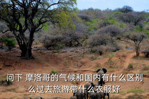 摩洛哥面料