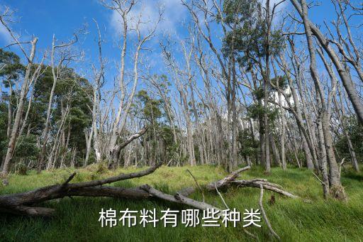 綿的面料,雅棉是什么面料