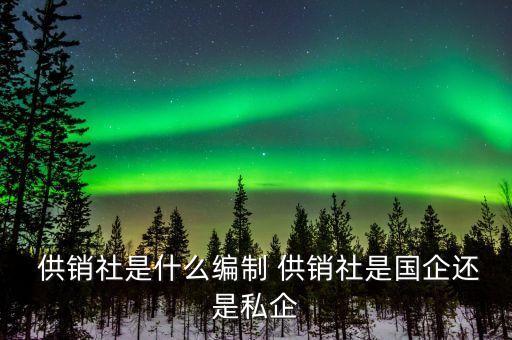 中國供銷集團烏蘇有限公司,安徽省供銷集團有限公司