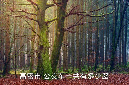 紡織城到橫大綠州公交