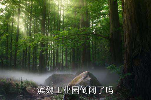 濱州魏橋紡織吧,山東濱州魏橋紡織有限公司