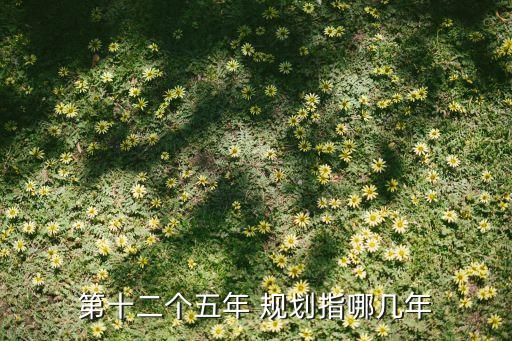 中國家用紡織品行業(yè) 十二五 發(fā)展規(guī)劃綱要