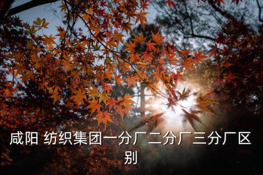 咸陽 紡織集團(tuán)一分廠二分廠三分廠區(qū)別