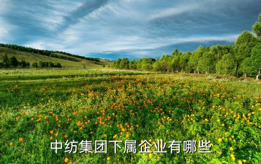 蘇州中群紡織有限公司單位性質(zhì),蘇州道格拉斯紡織有限公司