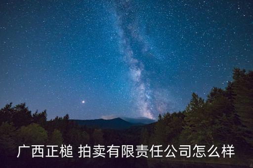 廣西正槌 拍賣(mài)有限責(zé)任公司怎么樣