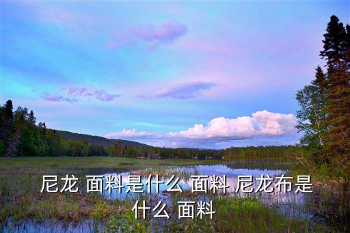  尼龍 面料是什么 面料 尼龍布是什么 面料