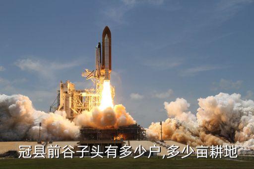  冠縣前谷子頭有多少戶,多少畝耕地