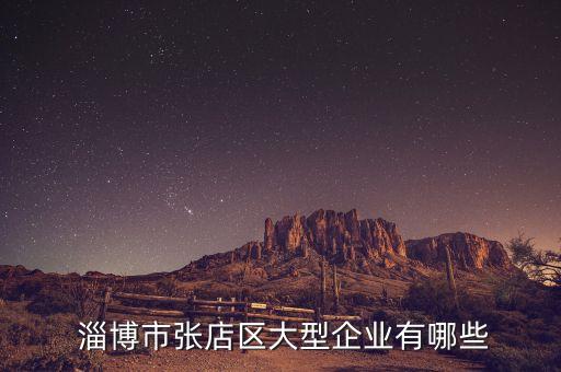  淄博市張店區(qū)大型企業(yè)有哪些