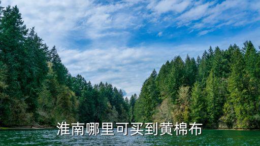 淮南哪里可買(mǎi)到黃棉布
